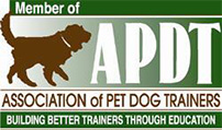 APDT Logo