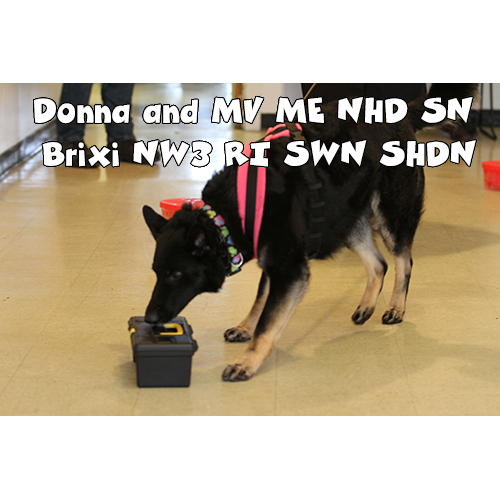 Donna and MV ME NHD SN Brixi NW3 RI SWN SHDN