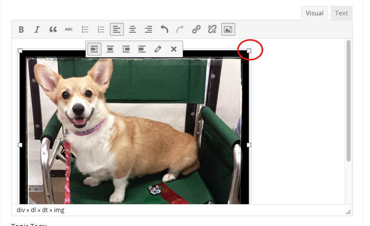 image editing tools in text box